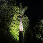 Load image into Gallery viewer, TRA01 Palm Tree Mounting Ring Light Bracket Landscape Lighting Accessory Light Fixture Mount