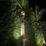 Load image into Gallery viewer, TRA01 Palm Tree Mounting Ring Light Bracket Landscape Lighting Accessory Light Fixture Mount