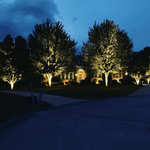 Load image into Gallery viewer, CDR30 30W Smart WIFI RGBW Narrow Beam Directional Landscape Garden Spotlight.
